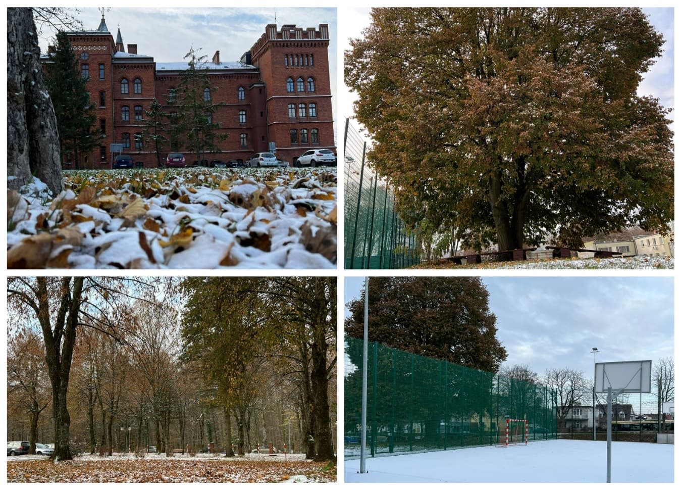 Światowy Dzień Życzliwości i Pozdrowień