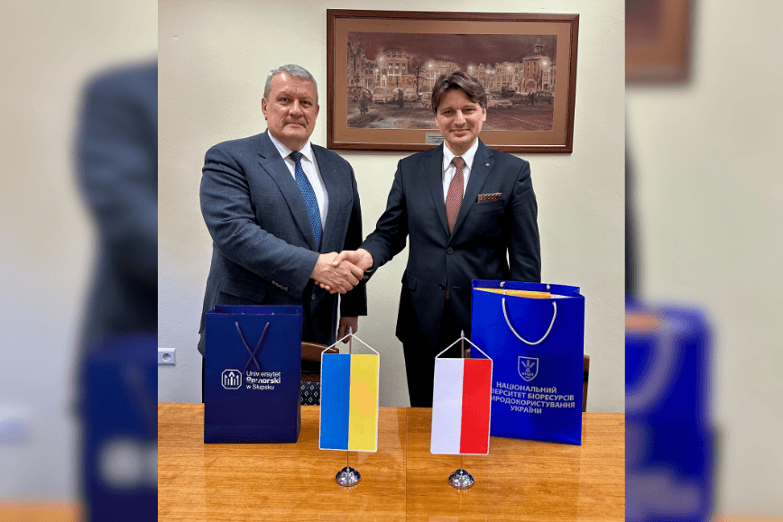 Development of Internationalization at Pomeranian University in Słupsk