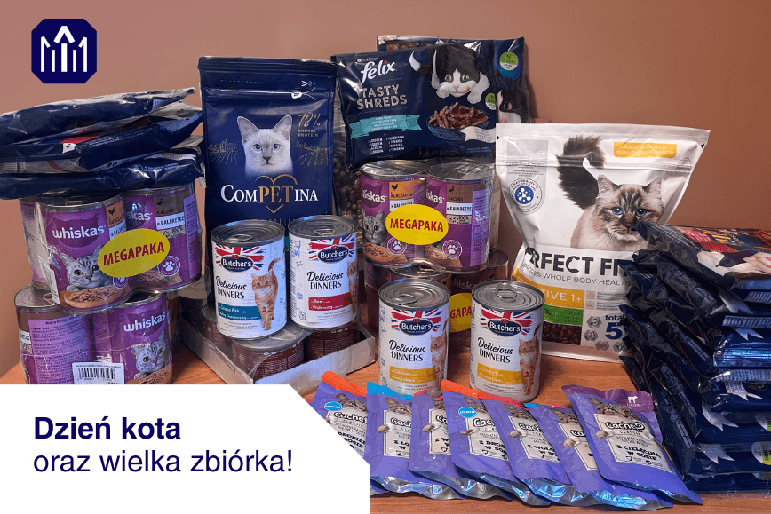 17 lutego obchodzimy Dzień Kota!