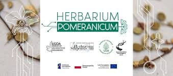 Rośliny inwazyjne w zbiorach Herbarium Slupensis - dr hab. Zbigniew Sobisz, prof. AP