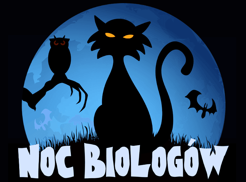 noc1.png
