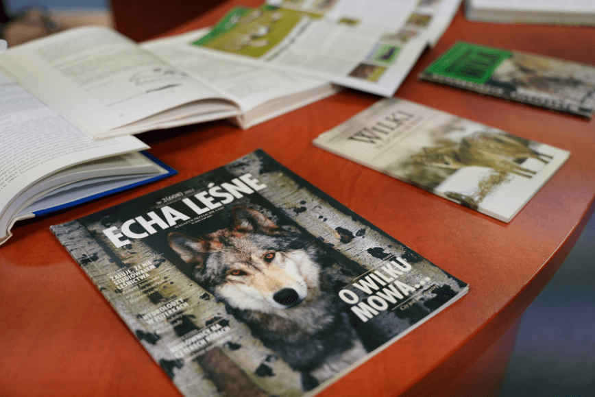 Dylematy ochrony wilka w Polsce