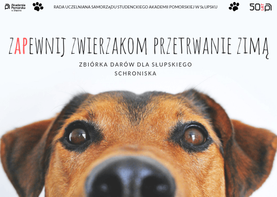 zapewnij zwierzakom przetrwanie zimą.png